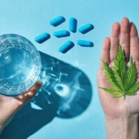 Study reveals potential for developing new cannabis-based antibiotic
