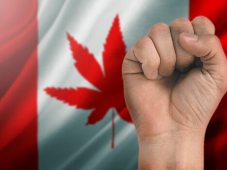 Workers in Canadian pot company could become first to unionize