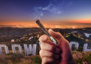 High as an Angel: A Guide to L.A.’s Bustling Legal Weed Scene