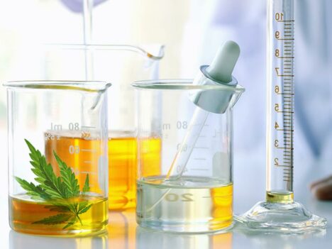 CBD Extraction Methods – Are They Competing or Completing One Another?