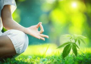 COLUMN: Ganja Yoga Stretched More Than Just My Body