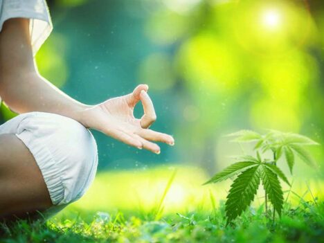 COLUMN: Ganja Yoga Stretched More Than Just My Body