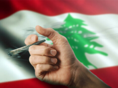 Lebanon becomes first Arab nation to legalize cannabis farming