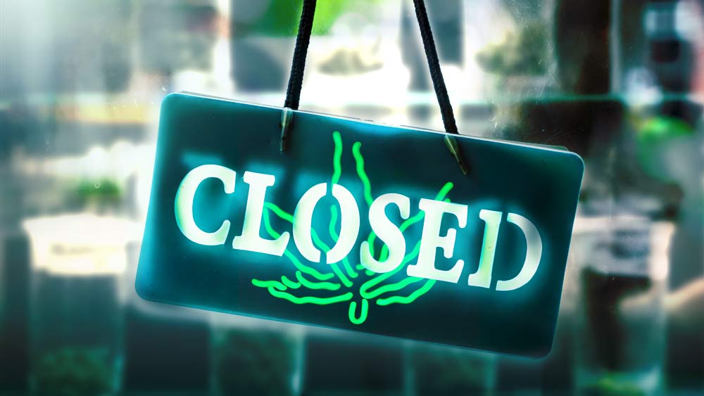 Massachusetts-pot-shops-closed