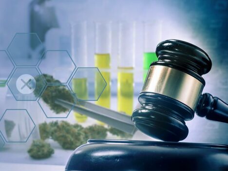 DoJ memo sheds new light on DEA’s stalling of marijuana research expansion