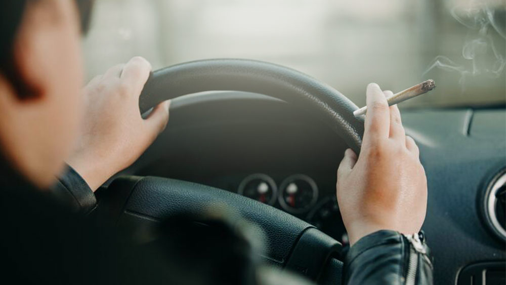Cannabis-and-Driving-Study