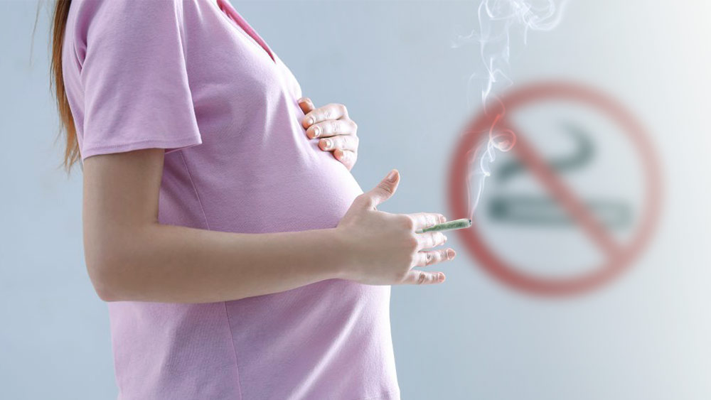 Study-shows-cannabis-use-during-pregnancy-risky