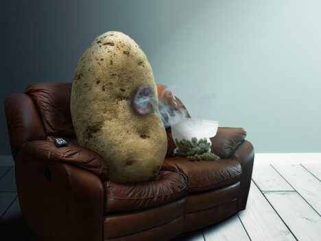 New study of older “stoners” shows they are not couch potatoes at all