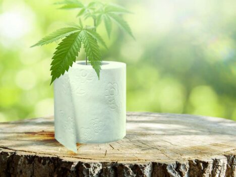 Hemp Toilet Paper – “Silly” Solution to Serious Environmental Issues