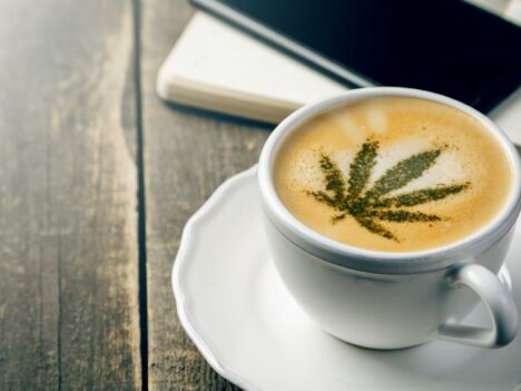 Study finds no relation between pot use in spare time and work performance