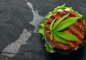 Company hopes to launch world’s first hemp-based meat next year