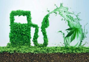 Hemp Fuel: A Busted Myth or an Emerging Promise?