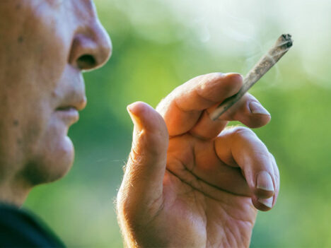 Pot use increases among older Americans, new survey reveals