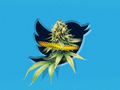 New Twitter policy triggers health warnings when users search for marijuana