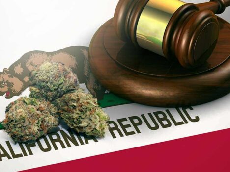 California governor signs new bill to protect banks that work with cannabis businesses