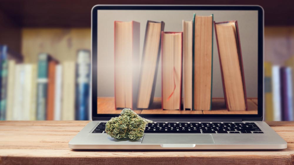 Books on a computer screen, and weed on the keyboard