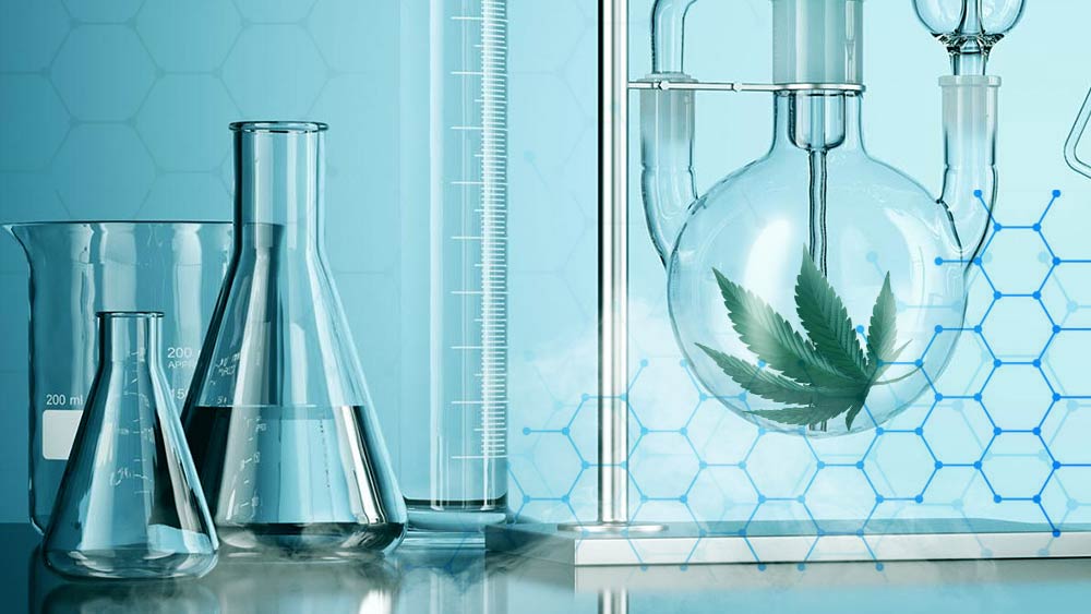 Cannabis in lab tubes