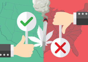 Today voters in these five U.S. states are saying yes (or no?) to legal weed