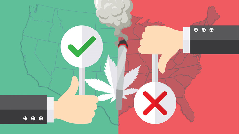 two hands showing a thumbs up and a thumbs down sign with cannabis leaf between them