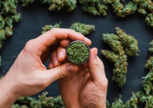 Medical Cannabis Strains are in the UK
