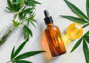 Prioritizing Holistic Health: Discover New-Found Healing with Cannabinoids