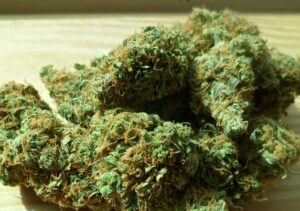 5 Ways To Find The Best Deals On Jack Herer Feminized Seeds