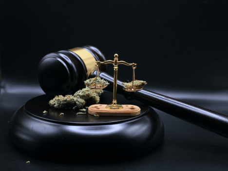 Navigating Legal Challenges With Professional Advice On Marijuana Laws