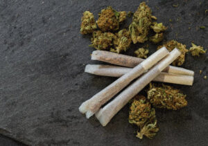 The Ultimate Guide to Choosing the Perfect Pre-Rolled Cone for Cannabis Enjoyment