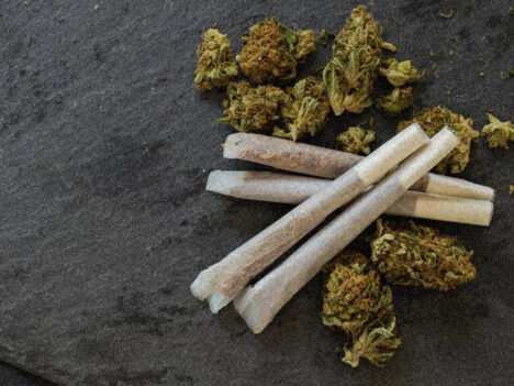 The Ultimate Guide to Choosing the Perfect Pre-Rolled Cone for Cannabis Enjoyment