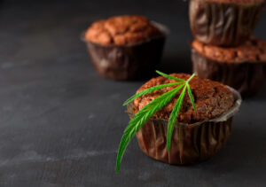 Edibles, Oils, or Smoking: Which Cannabis Intake Method is Right for You?