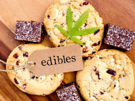 A Beginner’s Guide To Delta 8 Edibles