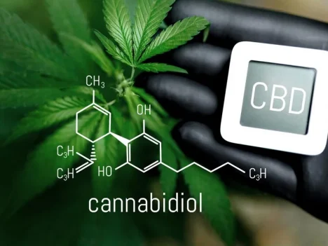 Cannabinoids and Alkaloids: A Comparative Exploration of CBD and Kratom