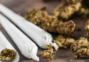 Identifying Addiction: Signs of Marijuana Dependency