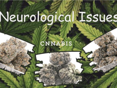 How Cannabis Helps to Manage Symptoms of Neurological Conditions