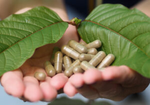 Everything You Need to Know About Kratom Tolerance: A Comprehensive Guide