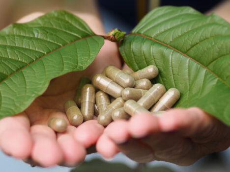 Everything You Need to Know About Kratom Tolerance: A Comprehensive Guide