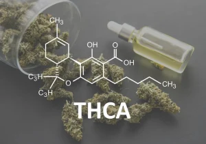 What Are the Best Ways to Use THCA Hemp Safely: Expert Safety Tips