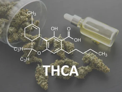 What Are the Best Ways to Use THCA Hemp Safely: Expert Safety Tips